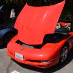 StElizabeth_0017 (September 09, 2016)